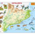 Mapa fisico de Catalunya